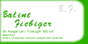 balint fiebiger business card